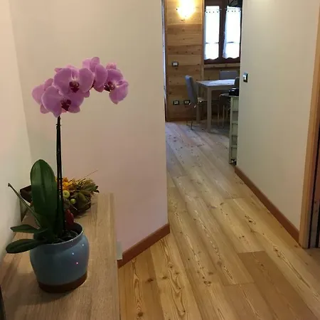 Condominio Delle Alpi *